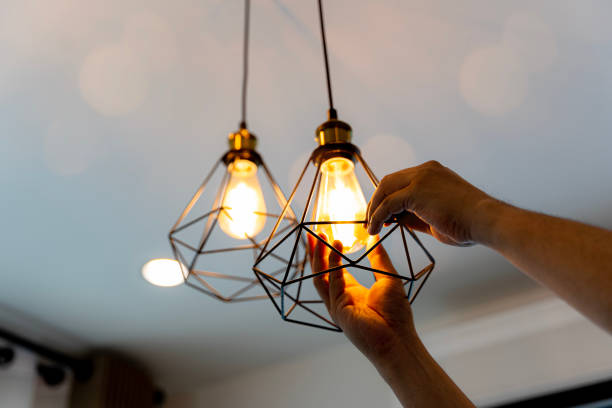 Best Local Electrician Companies  in East Hills, NY